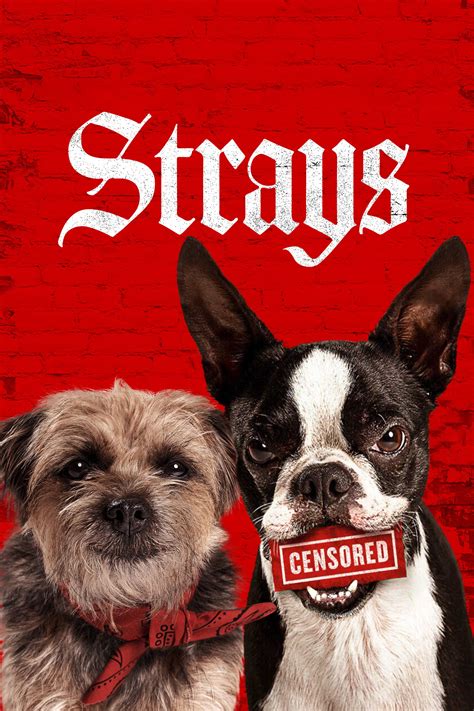 Strays 2023 1080p MA WEB.
